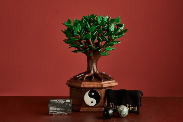 Árbol de vida Completo